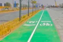 Cycle-track-picture-1